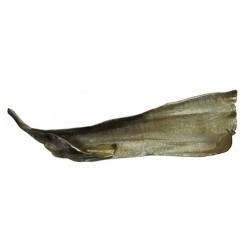 Champagne Brown Decorative Leaf Wall Art Champagne Brown Decorative Leaf Wall Art