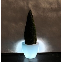 Skyline Drum Planter Light