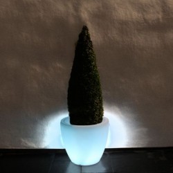 Skyline Drum Planter Light