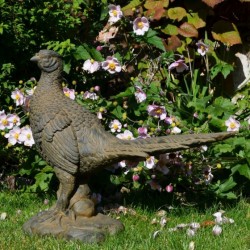 Europa Pheasant 49cm Fibre Clay Ornament