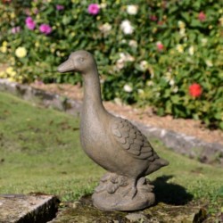 Duck Rust Effect